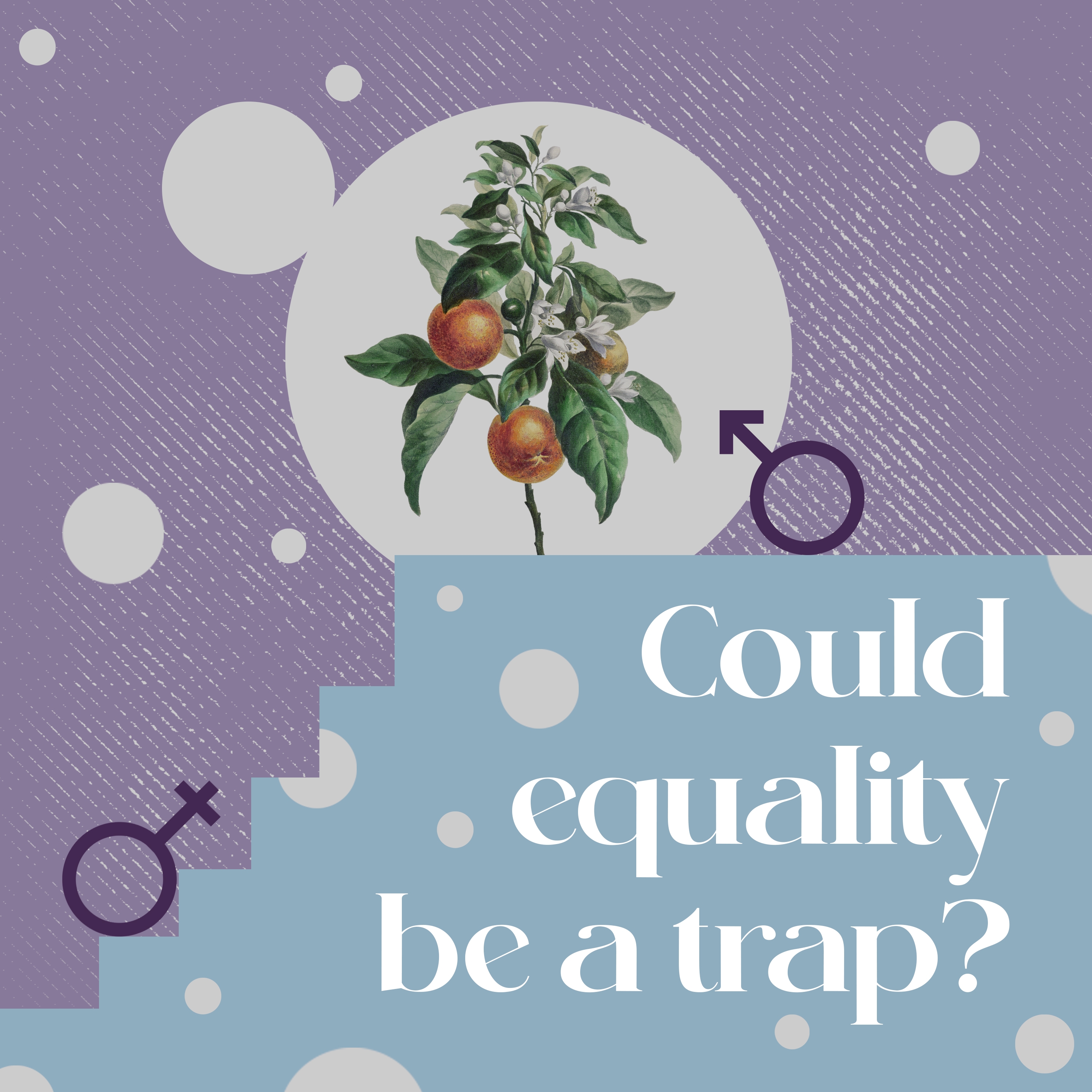 thumbnail for Could Equality  be a Trap?